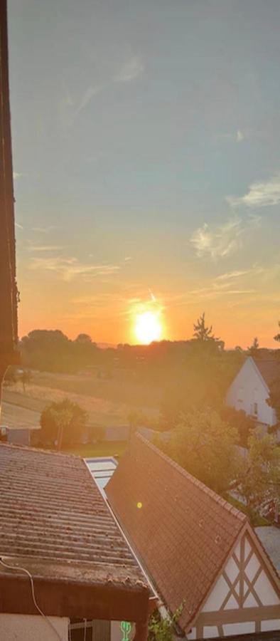 Apartamento Urlaub Am Rhein Speyer Hockenheim Altlussheim Exterior foto